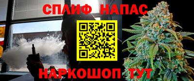 прущие грибы Кимры