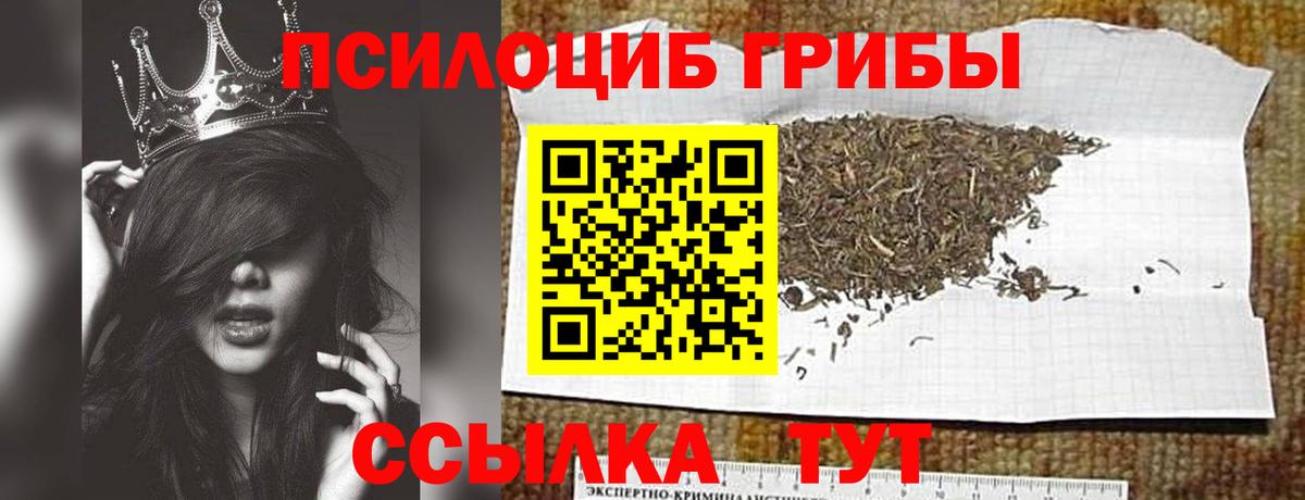 Псилоцибиновые грибы GOLDEN TEACHER  Вход с VPN  Галлюциногенные грибы мицелий  Клинцы 